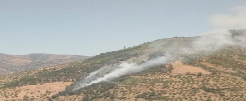 1 Hektar Tarım Arazisi Zarar Gördü
