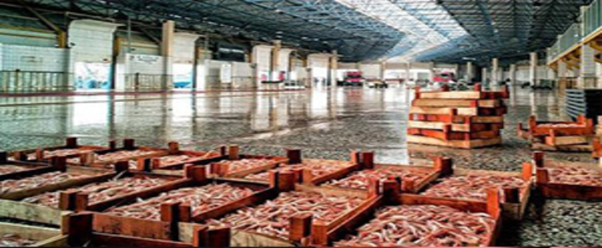 Bakan Tüfenkci: `Balık ve Meyve Artık Aynı Halde`