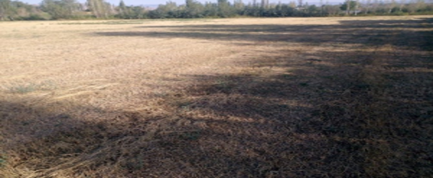 Tuzluca`da Kuraklık
