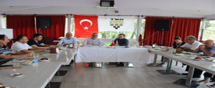 Fındık Piyasalarını Hareketlendiren TMO Açıklamaları!