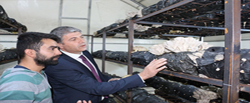 Genç Çiftçi Projeleri`nin Başarısı Yüz Güldürüyor