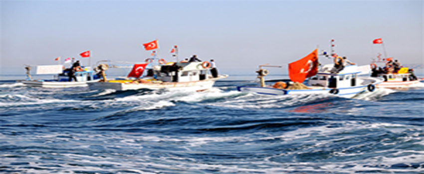 Balıkçılığın Geleceği, Yetiştiricilik ve Açık Denizde