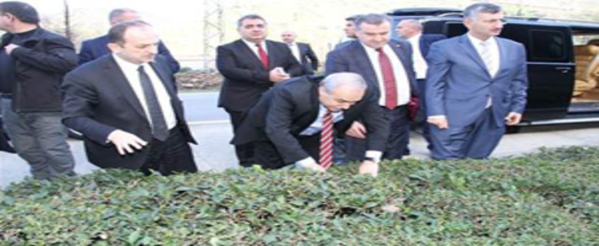 `Çayda Organik Tarıma Geçeceğiz`