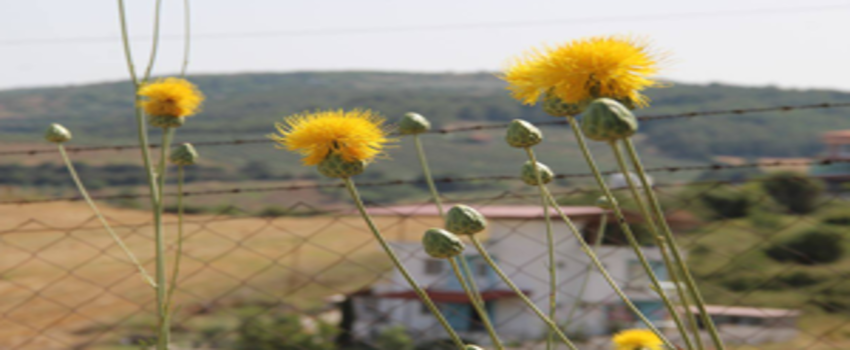 Kuşadası`nda Ekoturizm Kuruluyor