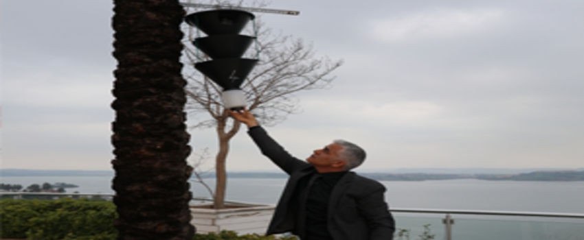 Palmiye Ağaçları İçin Böcek Seferberliği