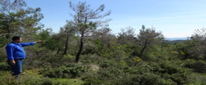 Çanakkale`de Böcekler Halkı Tedirgin Etti