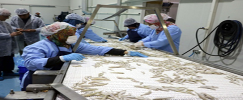 Türkiye`de Rağbet Yok, Avrupa`da Kapış Kapış Gidiyor