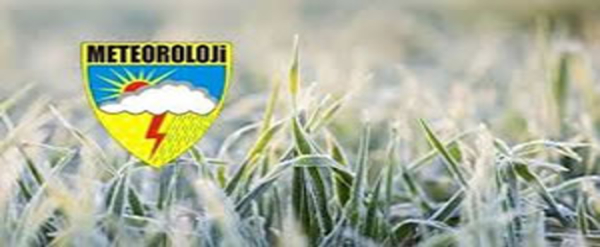 Meteorolojiden Uyarı! Zirai Don Tehlikesine Dikkat!