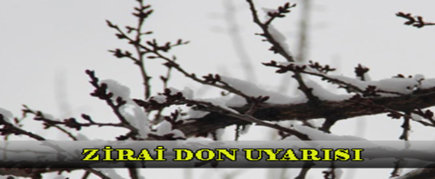 METEOROLOJİDEN UYARI! ZİRAİ DON TEHLİKESİ!