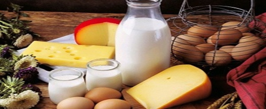 Et, Süt, Yumurta Üreticisine Hibe Ödemeleri Başlıyor