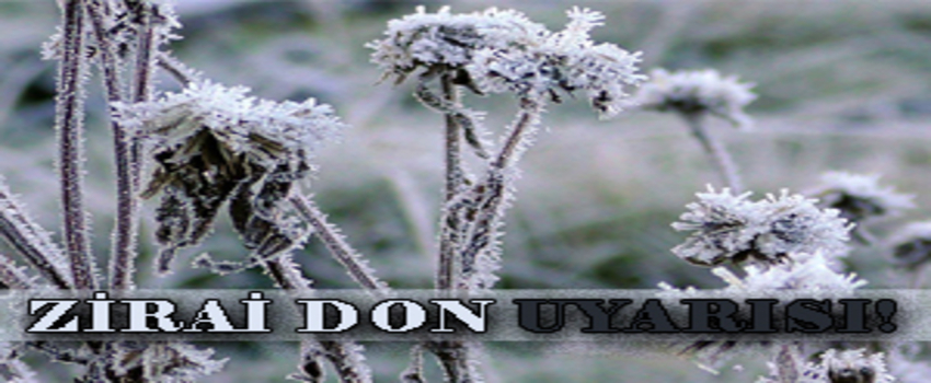 METEOROLOJİDEN UYARI! ZİRAİ DON TEHLİKESİ!