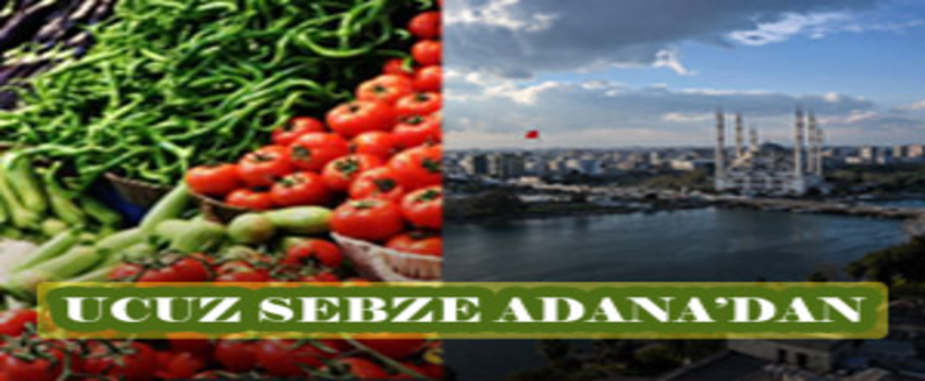 Adana Türkiye`ye Ucuz Sebze Yedirecek