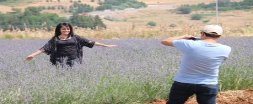 Siirt`te Tıbbi Aromatik Bitki Üretimi Yaygınlaşıyor