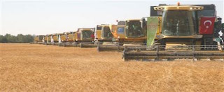 Bolluğun, bereketin, hasadın bayramı ilklerle başlıyor