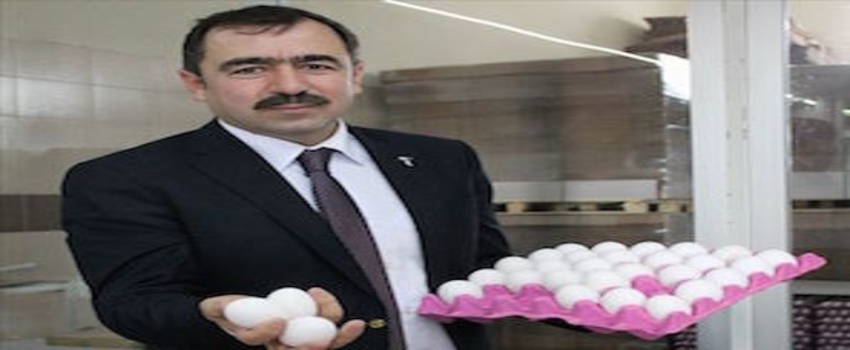Yumurta üreticileri kesim desteği istiyor