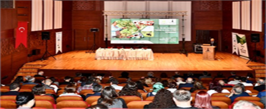 Gıda Hileleri Aldı Başını Gidiyor