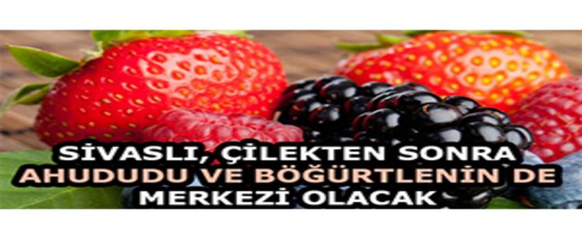 Sivaslı, Çilekten Sonra Ahududu ve Böğürtlenin De Merkezi Olacak