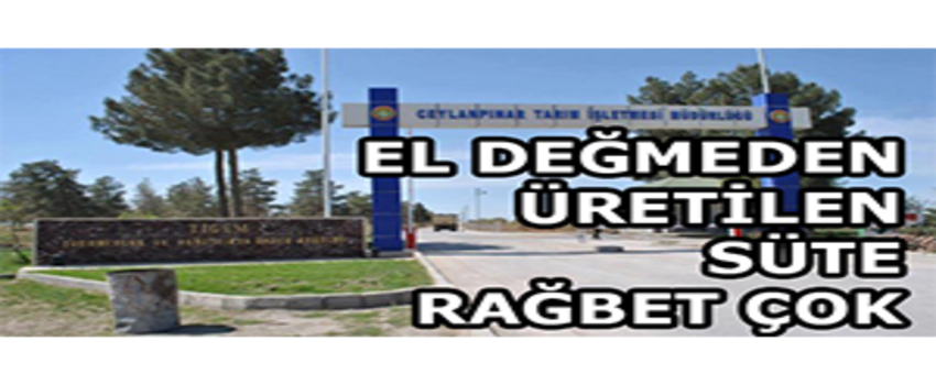 Ceylanpınar Tarım İşletmesinde El Değmeden Üretilen Süte Rağbet