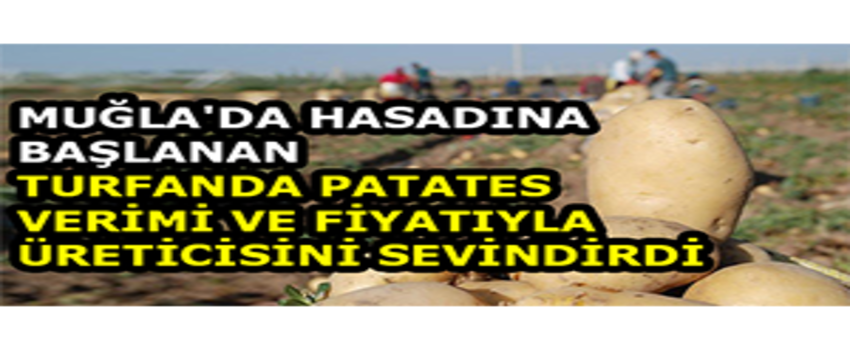 Muğla`da Hasadına Başlanan Turfanda Patates Verimi Ve Fiyatıyla Üreticisini Sevindirdi
