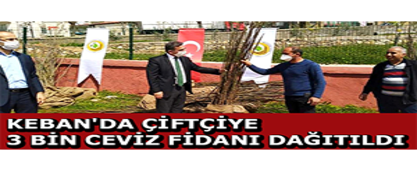 Keban`da Çiftçiye 3 Bin Ceviz Fidanı Dağıtıldı