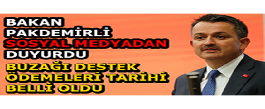 Bakan Pakdemirli Sosyal Medyadan Duyurdu Buzağı Destek Ödemeleri Tarihi Belli Oldu