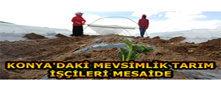 Konya`daki Mevsimlik Tarım İşçileri Mesaide