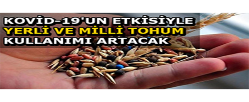 Kovid-19`un Etkisiyle Yerli ve Milli Tohum Kullanımı Artacak