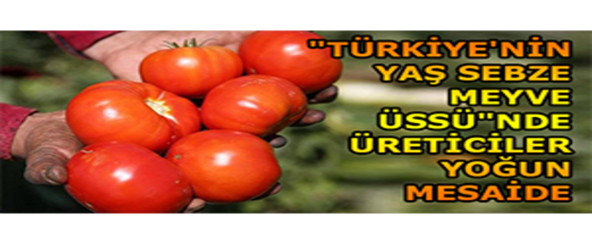 `Türkiye`nin Yaş Sebze Meyve Üssü`nde Üreticiler Yoğun Mesaide