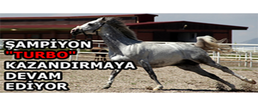 Şampiyon `Turbo` Kazandırmaya Devam Ediyor