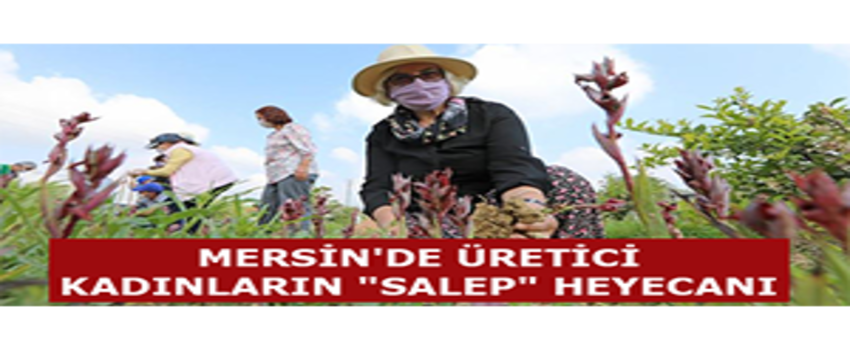 Mersin`de Üretici Kadınların `Salep` Heyecanı