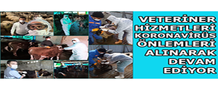 Veteriner Hizmetleri Koronavirüs Önlemleri Alınarak Devam Ediyor
