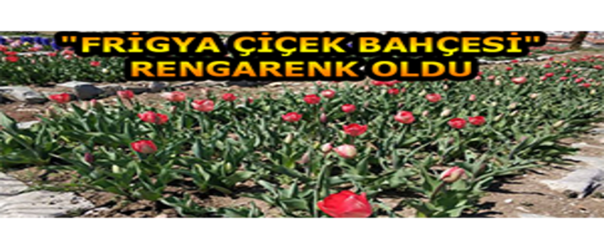 `Frigya Çiçek Bahçesi` Rengarenk Oldu
