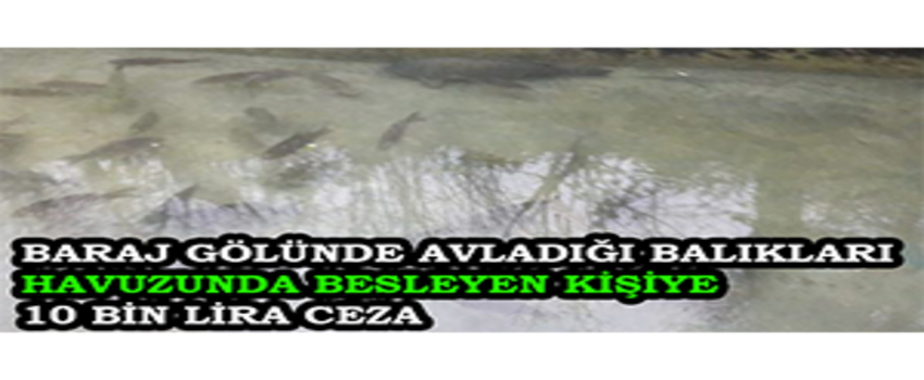 Baraj Gölünde Avladığı Balıkları Havuzunda Besleyen Kişiye 10 Bin Lira Ceza