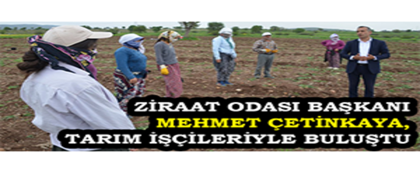 Ziraat Odası Başkanı Mehmet Çetinkaya, Tarım İşçileriyle Buluştu