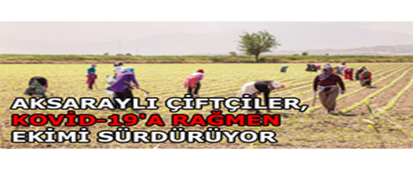 Aksaraylı Çiftçiler, Kovid-19`a Rağmen Ekimi Sürdürüyor