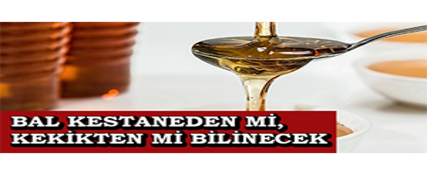 Bal Kestaneden Mi, Kekikten Mi Bilinecek