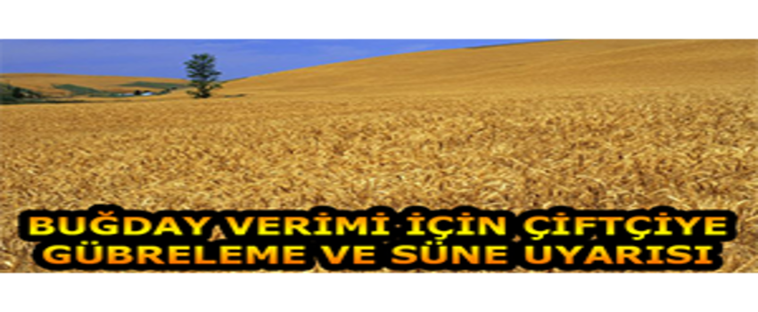 Buğday Verimi İçin Çiftçiye Gübreleme Ve Süne Uyarısı