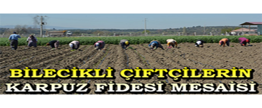 Bilecikli Çiftçilerin Karpuz Fidesi Mesaisi