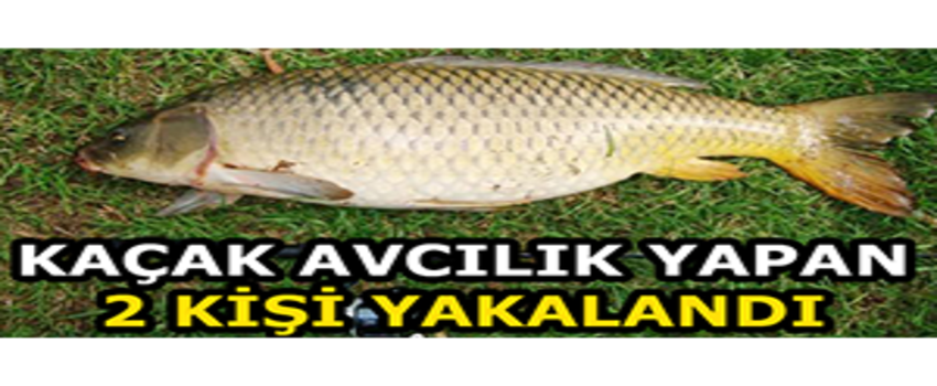 Kaçak Avcılık Yapan 2 Kişi Yakalandı