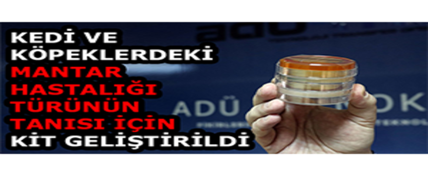 Kedi ve Köpeklerdeki Mantar Hastalığı Türünün Tanısı İçin Kit Geliştirildi