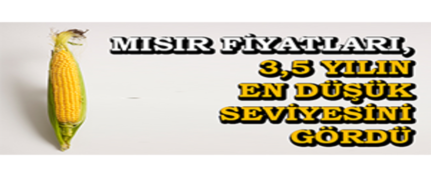 Mısır Fiyatları, 3,5 Yılın En Düşük Seviyesini Gördü
