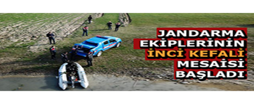Jandarma Ekiplerinin İnci Kefali Mesaisi Başladı