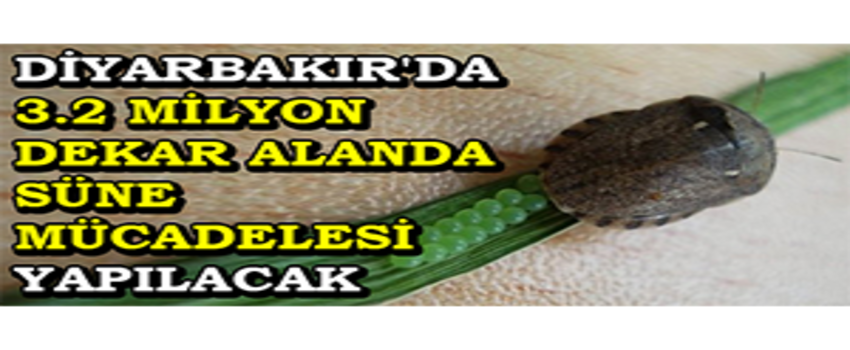Diyarbakır`da 3.2 Milyon Dekar Alanda Süne Mücadelesi Yapılacak