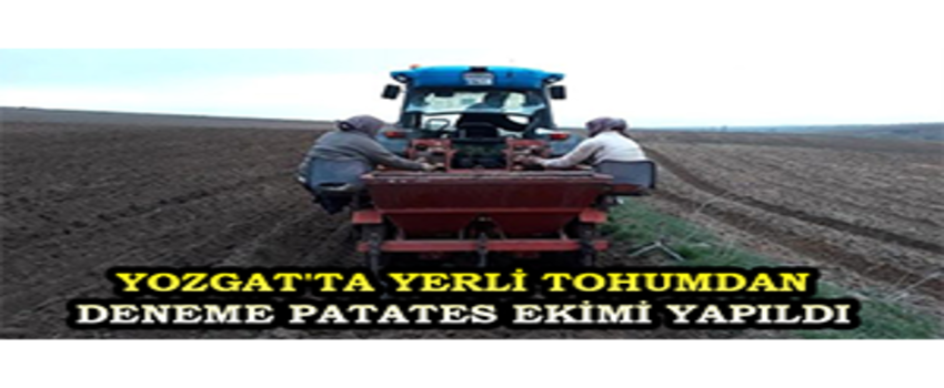 Yozgat`ta Yerli Tohumdan Deneme Patates Ekimi Yapıldı