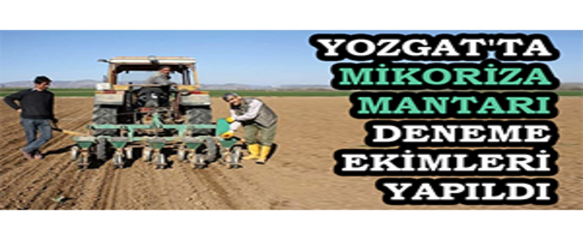 Yozgat`ta Mikoriza Mantarı Deneme Ekimleri Yapıldı