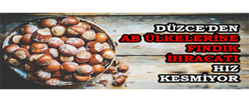 Düzce`den AB Ülkelerine Fındık İhracatı Hız Kesmiyor