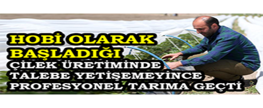 Hobi Olarak Başladığı Çilek Üretiminde Talebe Yetişemeyince Profesyonel Tarıma Geçti