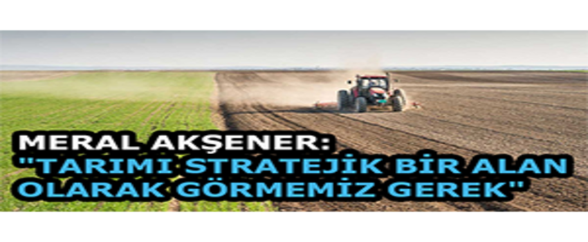Meral Akşener: `Tarımı Stratejik Bir Alan Olarak Görmemiz Gerek`