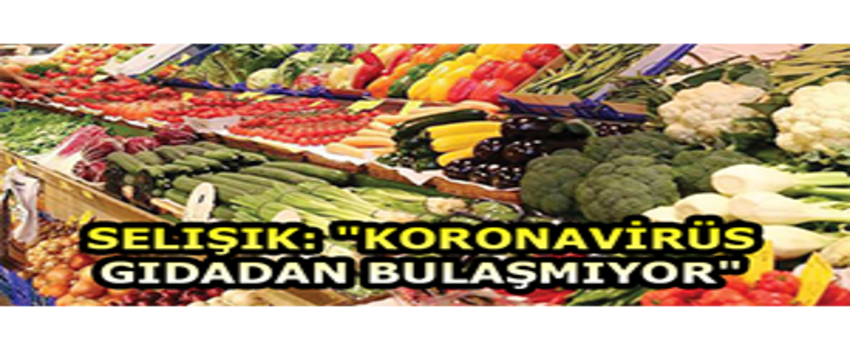 FAO Türkiye Temsilci Yardımcısı Selışık: `Koronavirüs Gıdadan Bulaşmıyor`
