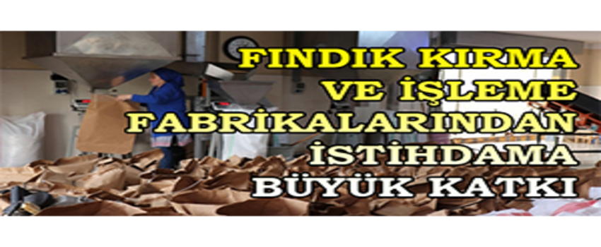Fındık Kırma Ve İşleme Fabrikalarından İstihdama Büyük Katkı